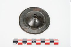 Foto von Bronzephalere (NHMW-PRAE-025078)